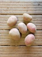 Pomme de terre alouette - filet 5 kg