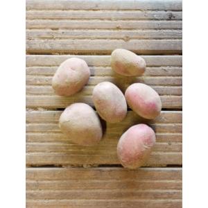 Pomme de terre alouette - filet 5 kg