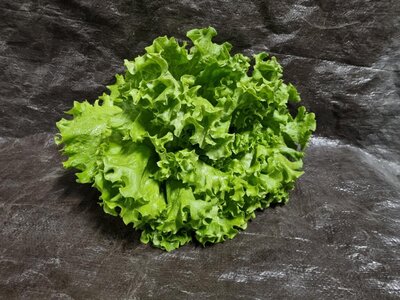 Salade batavia