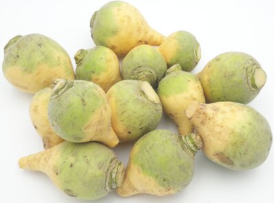 Rutabaga bio
