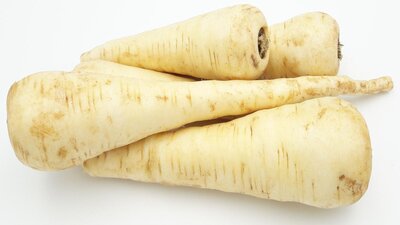 Panais bio