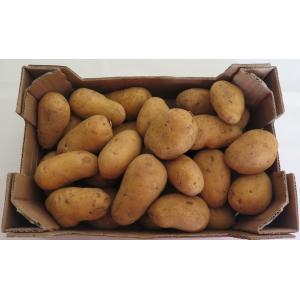 Pomme de terre à chair ferme