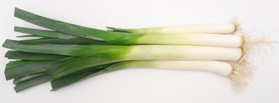 Poireaux bio