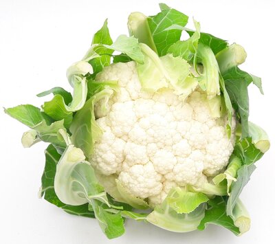 Chou fleur bio
