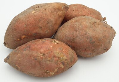 Patate douce bio