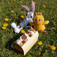 Bûche choco-banane 10 parts