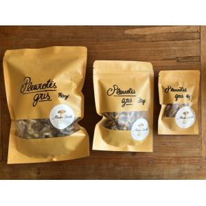 Pleurotes gris séchés