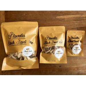 Pleurotes black pearl séchés