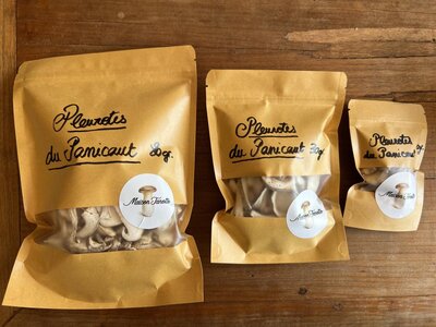 Pleurotes du panicaut séchés
