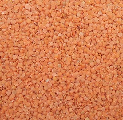Lentilles corail bio