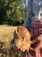 Pain de campagne aux graines bio