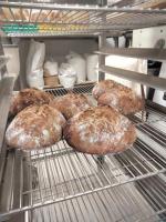 Petit pain aux olives et tomates séchées bio