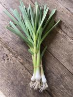 Généreuse botte d'aillet