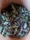 Tisane légèreté des cimes - image 2