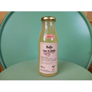 Kéfir de fruits clous de girofle
