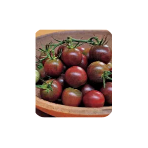 Tomates black pearl