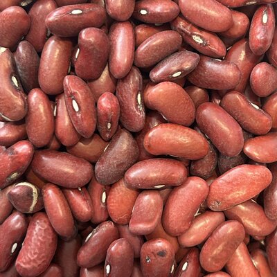 Haricot rouge