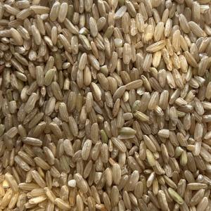 Riz long complet