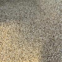Quinoa