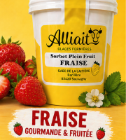 Sorbet plein fruit fraise