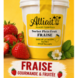 Sorbet plein fruit fraise