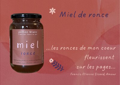 Miel de ronce - 250g