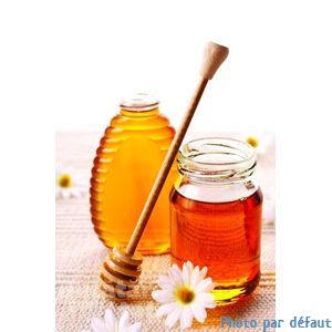 Miel toutes fleurs 500g