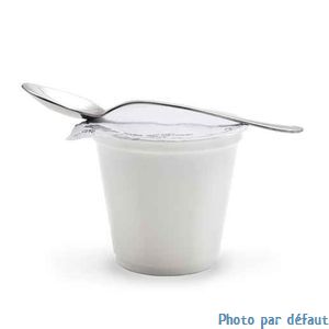 Riz au lait vanille