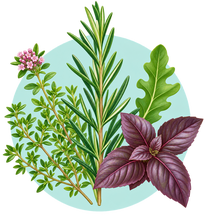 Catégorie de produits Plantes aromatiques, médicinales