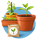 plants-graines