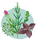 plantes-aromatiques-medicinales